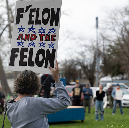 March4Democracy 15 (Terry Scussel) copy