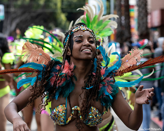 Carnaval SF 2019 45 (Terry Scussel)