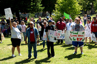 Mayday Rally, Sacramento 7 (Terry Scussel)