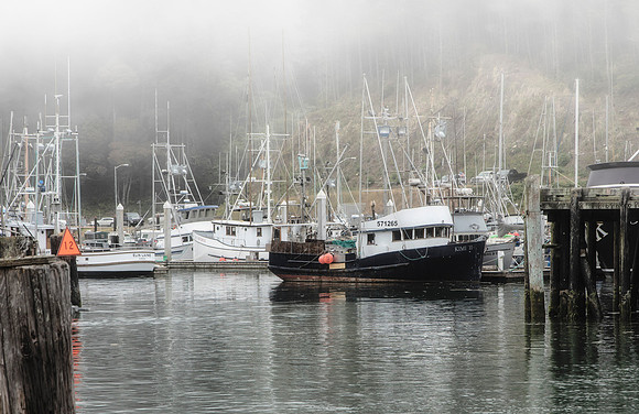 Fog on the Fishing Fleet, Noyo Harbor