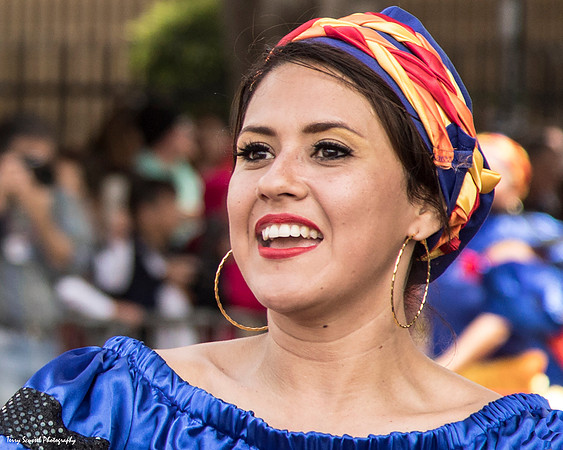 Carnaval SF 2017 9