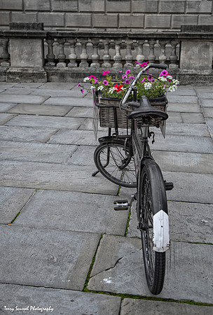 Flower-Peddle-Power, Bath