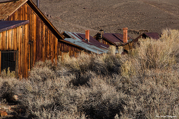Sage Roofline - Bodie2