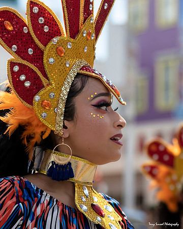 Carnaval SF 2019 79b (Terry Scussel)