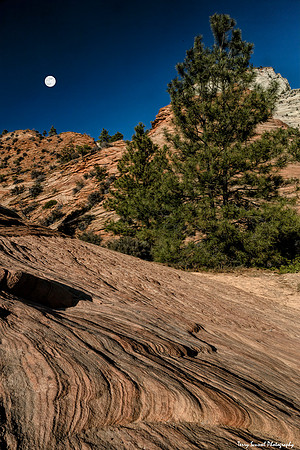 Full Moon Rising, Zion 2