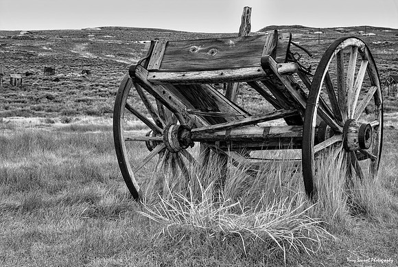 Bodie Wagon