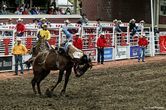 Bronco Riding 2, Calgary Stampede