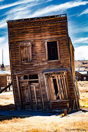 Bodie Tilt