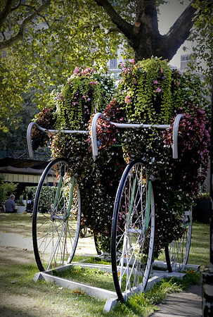 London Living Bikes - Copy
