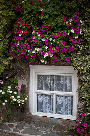 Window 1