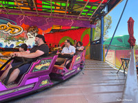 MV at the Marin County Fair 11