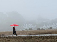 Day 47 - Umbrellas
