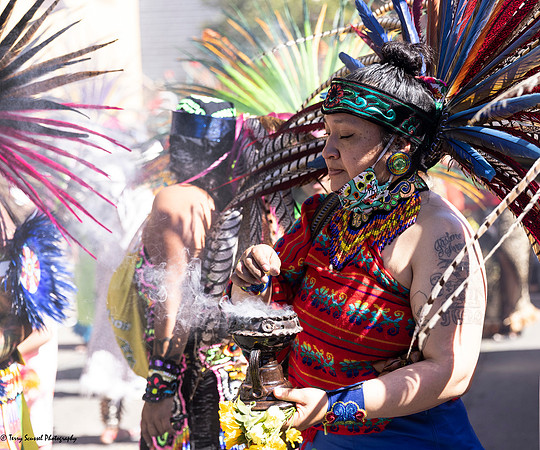 Carnaval 2022 32 (Terry Scussel)