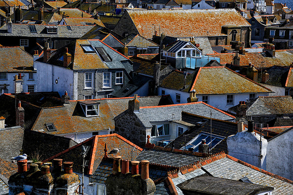 Roof Tops - St Ives