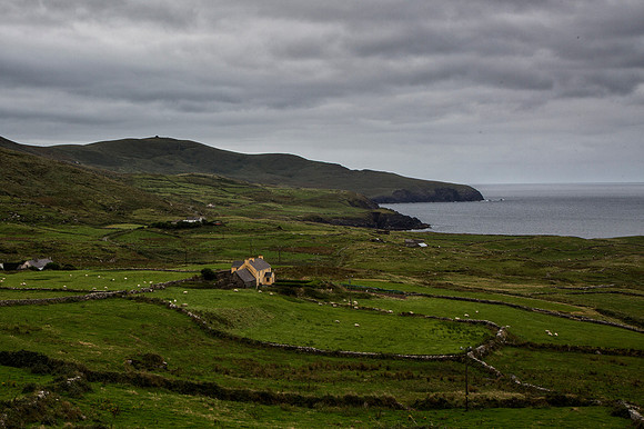 Bolus Head - Kerry Peninsula