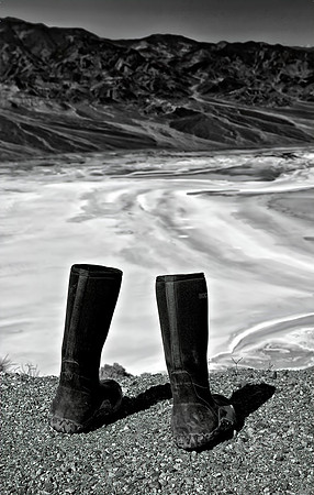 My Bogs, Dante's Point