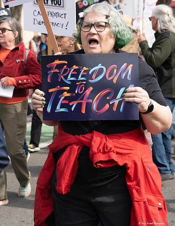 March4Democracy 21 (Terry Scussel) copy
