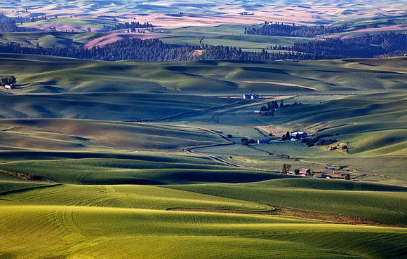 Palouse - View from Steptoe Butte