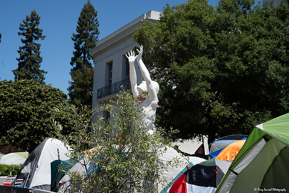 UC Berkeley - Camp Free Palestine 5 (Terry Scussel) copy