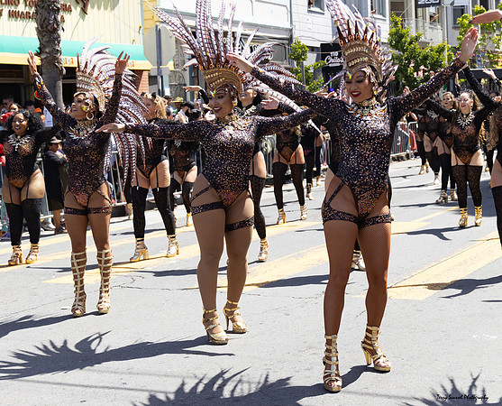 Parade 22 (Terry Scussel)