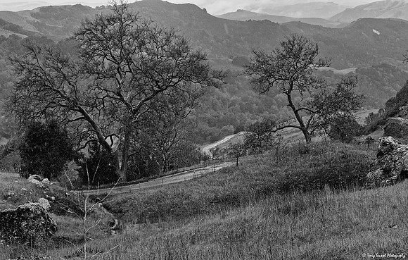 Cypress Mountain Road 2 bw copy