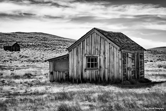 Lone miners shack - Bodie