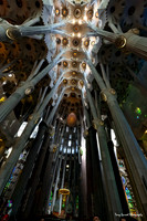 La Sagrada Familia 2 Interior looking up
