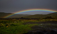 Highland Rainbow