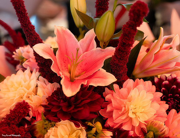 Orange Bouquet, Pike Place Market copy