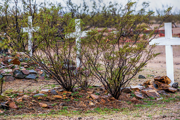 Daggett Pioneer Cemetery 2
