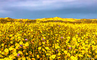 Day 18 - Carrizo Plain National Monument