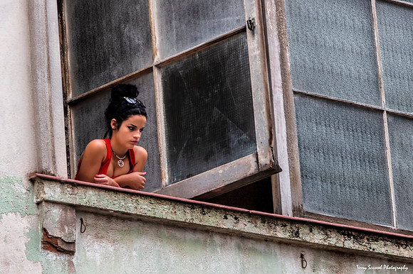 Girl in a Window - Havana