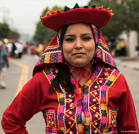 Carnaval SF 2017 4