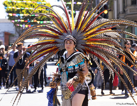 Carnaval 2022 54 (Terry Scussel)