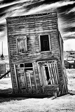 Bodie Tilt B&W
