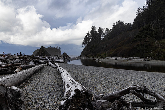 Ruby Beach, Olympic Peninsula copy