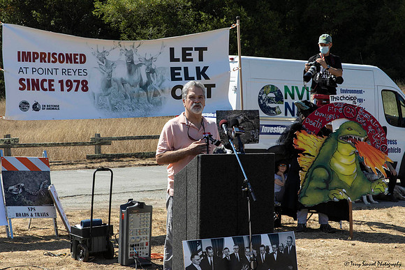 Save the Elk, Pt Reyes 10 (Terry Scussel)