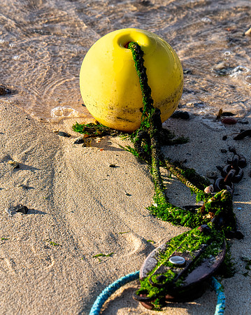 Bouy Float, St Ives