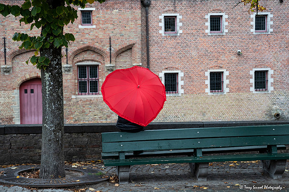 Heart Umbrella, Blinde-Ezelbrug - Brugge copy