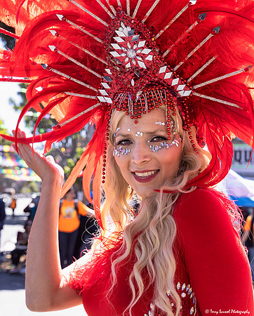 Carnaval 2022 72 (Terry Scussel)