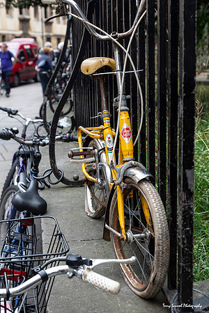 Dead Bike, Cambridge