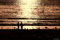 Last Light Silhouette at Costa de Caparica, Portugal