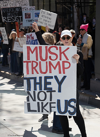 Anti-Musk_Tesla SF 16 (Terry Scussel) copy