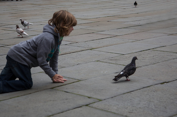 Girl & Pigeon