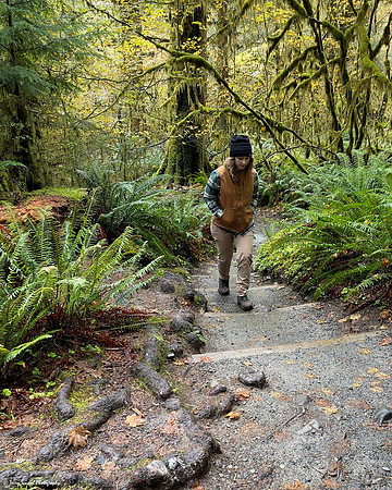 Hoh Rainforest 12 copy