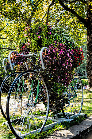 Our Bike Ride in London