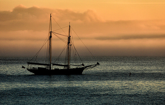 Tall Ship - St Ives