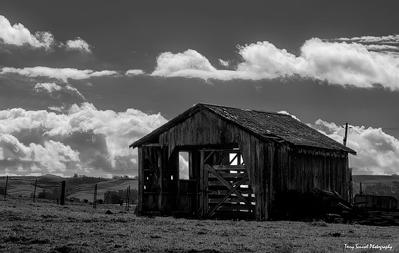 Sonoma County Farm Feed Barn B&W