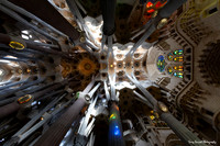 La Sagrada Familia 1 Interior looking up