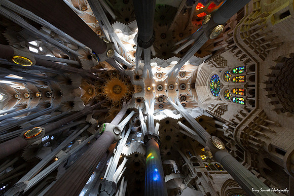La Sagrada Familia 1 Interior looking up